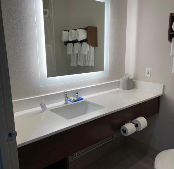 Standaardkamer met Kingsize Bed Aangepast voor Gehandicapten, Holiday Inn Express & Suites   Indianapolis Northwest, An Ihg
