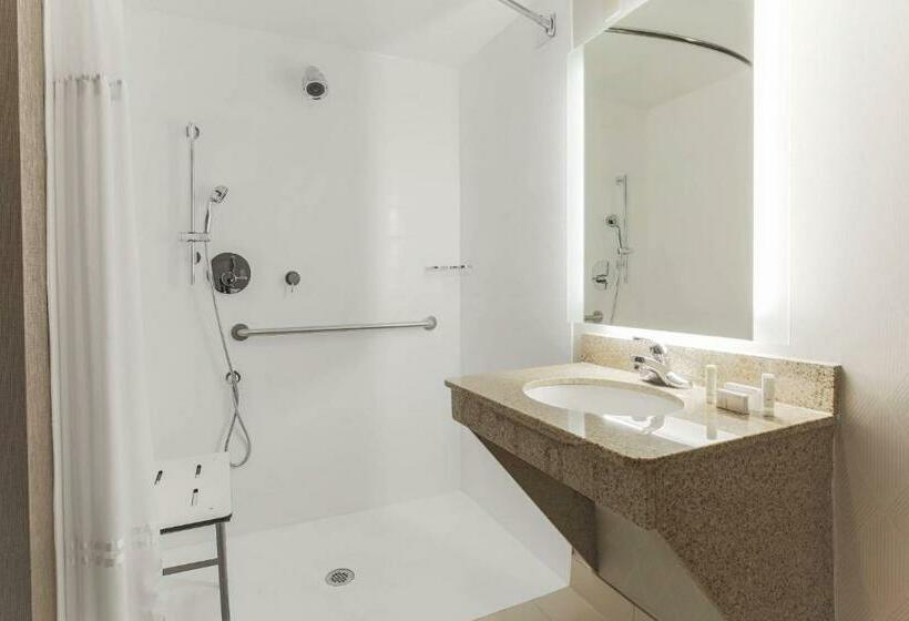 Suite, Springhill Suites By Marriott Austin Parmer/tech Ridge