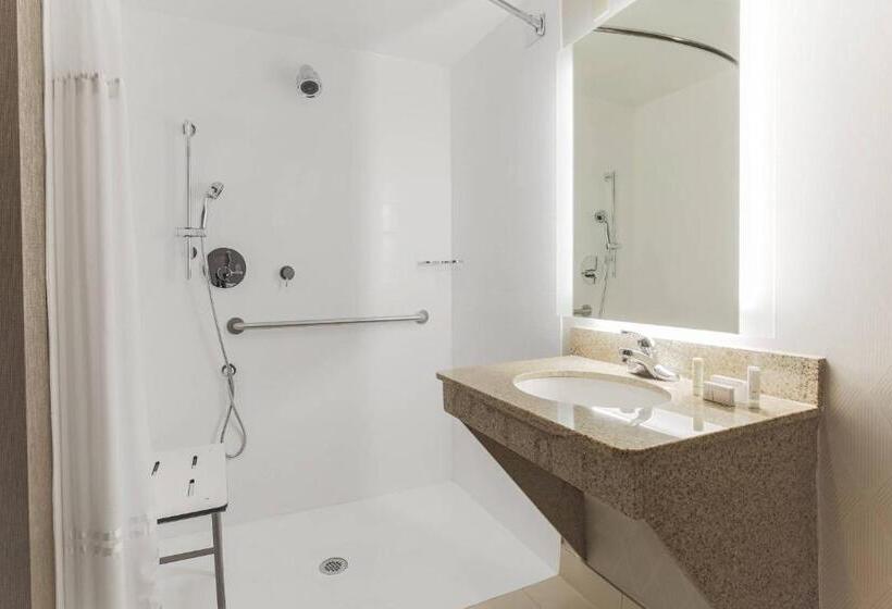 Suite Lit King, Springhill Suites By Marriott Austin Parmer/tech Ridge