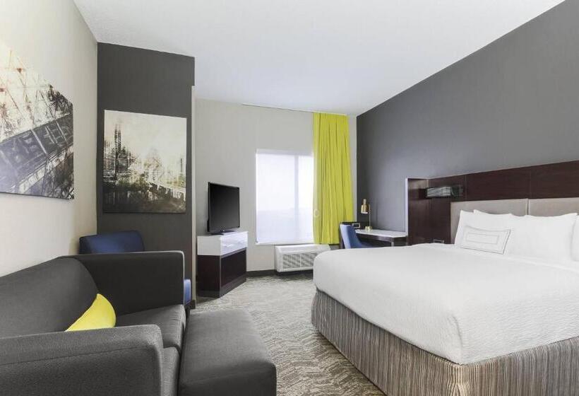 Suite Lit King, Springhill Suites By Marriott Austin Parmer/tech Ridge