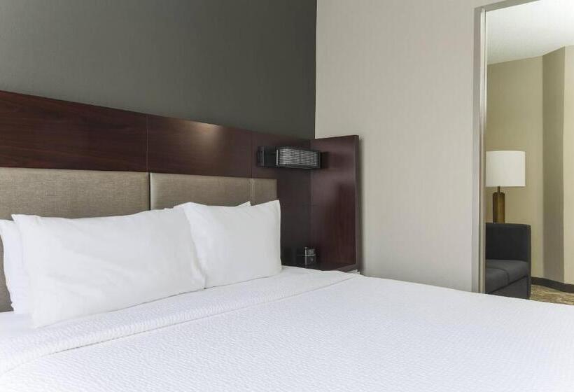 Suite Lit King, Springhill Suites By Marriott Austin Parmer/tech Ridge