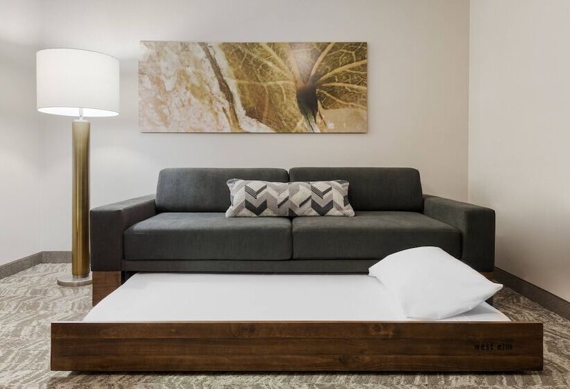 Люкс, Springhill Suites By Marriott Cleveland Solon
