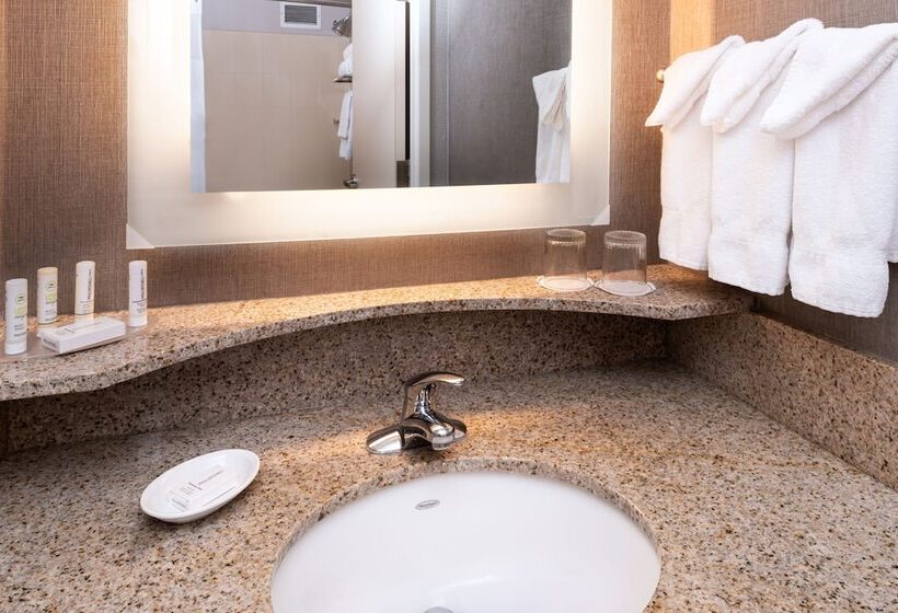 استودیوی استاندارد, Springhill Suites By Marriott Pittsburgh North Shore