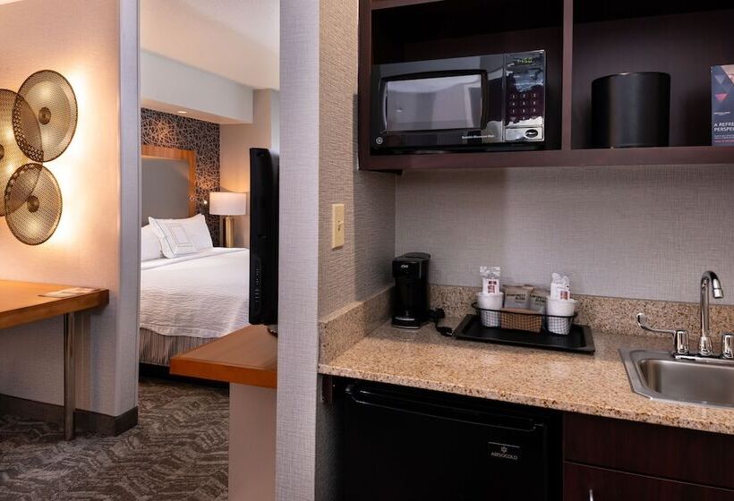 استودیوی استاندارد, Springhill Suites By Marriott Pittsburgh North Shore