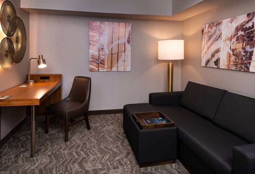 استودیوی استاندارد, Springhill Suites By Marriott Pittsburgh North Shore
