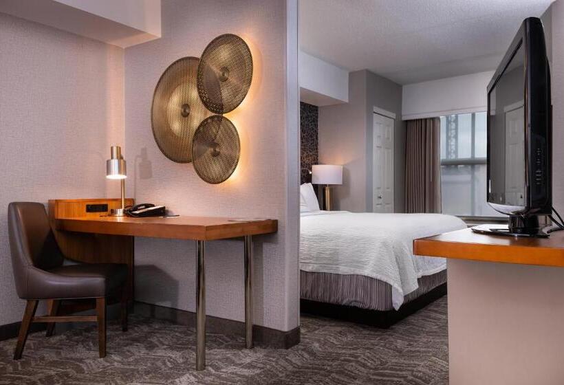 استودیو استاندارد با تخت کینگ, Springhill Suites By Marriott Pittsburgh North Shore