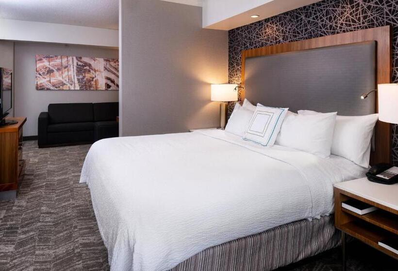 استودیو استاندارد با تخت کینگ, Springhill Suites By Marriott Pittsburgh North Shore