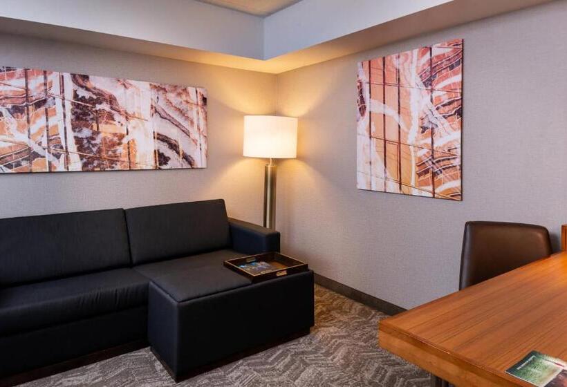 استودیو استاندارد با تخت کینگ, Springhill Suites By Marriott Pittsburgh North Shore