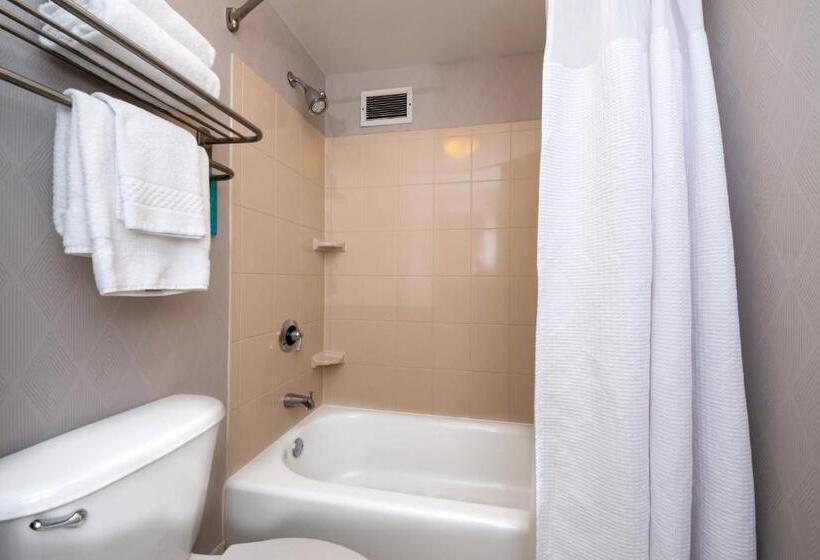 استودیوی استاندارد, Springhill Suites By Marriott Pittsburgh North Shore