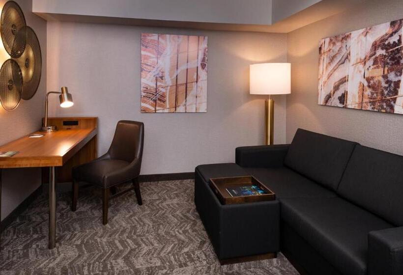 استودیوی استاندارد, Springhill Suites By Marriott Pittsburgh North Shore