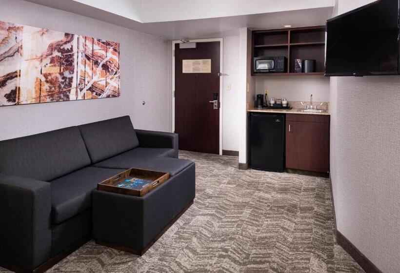 سوئیت اجرایی با تخت کینگ, Springhill Suites By Marriott Pittsburgh North Shore