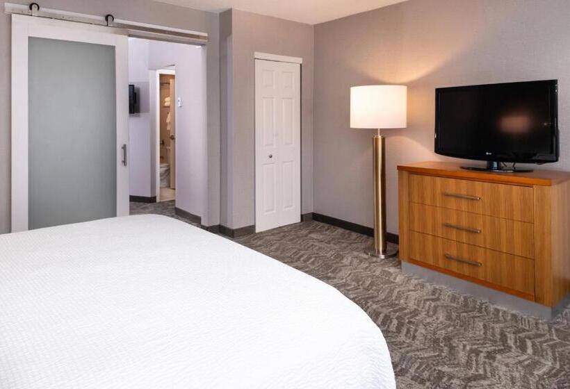 سوئیت اجرایی با تخت کینگ, Springhill Suites By Marriott Pittsburgh North Shore