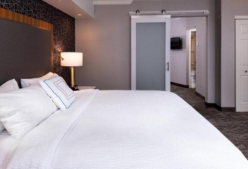 سوئیت اجرایی با تخت کینگ, Springhill Suites By Marriott Pittsburgh North Shore