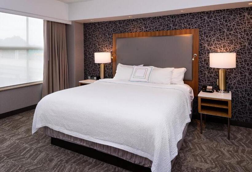 سوئیت اجرایی با تخت کینگ, Springhill Suites By Marriott Pittsburgh North Shore
