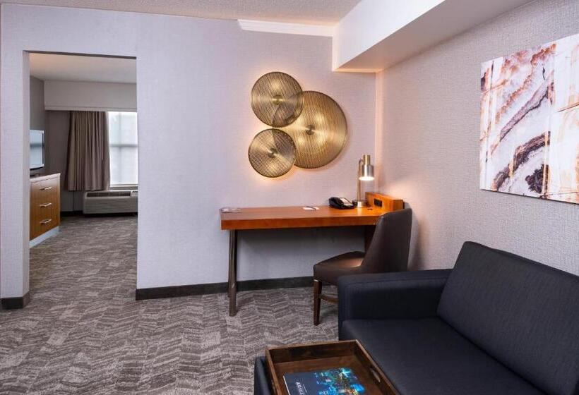سوئیت اجرایی با تخت کینگ, Springhill Suites By Marriott Pittsburgh North Shore