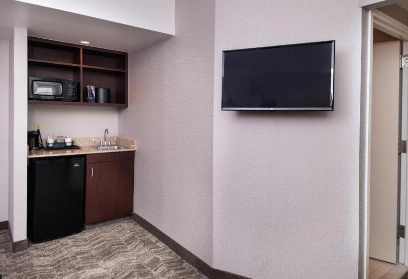 سوئیت اجرایی با تخت کینگ, Springhill Suites By Marriott Pittsburgh North Shore