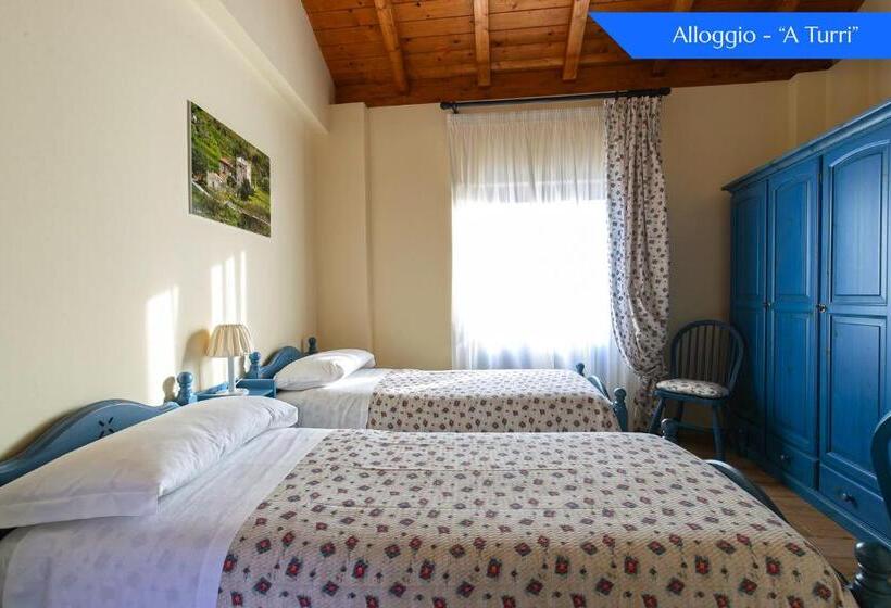 Номер Стандарт, B&b Loreto