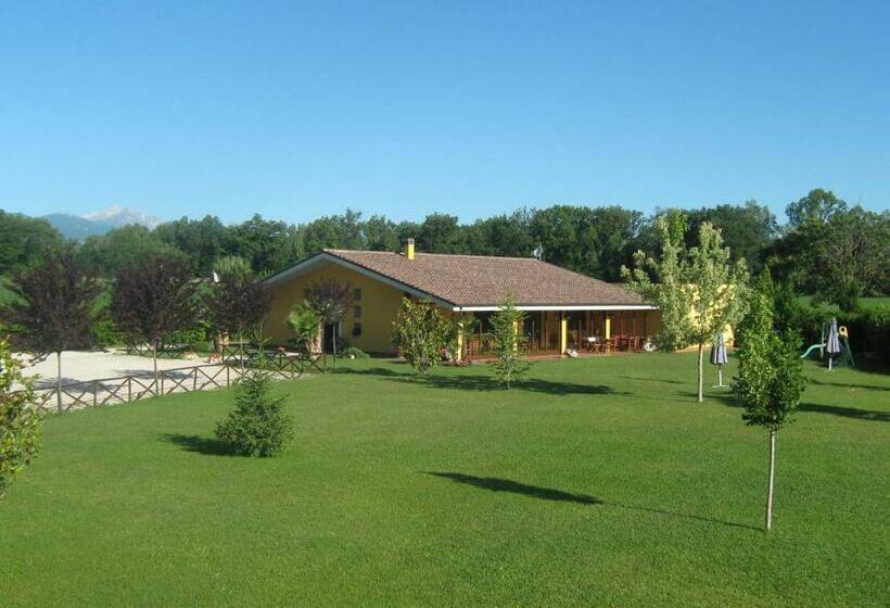 Номер Стандарт, B & B Oasi