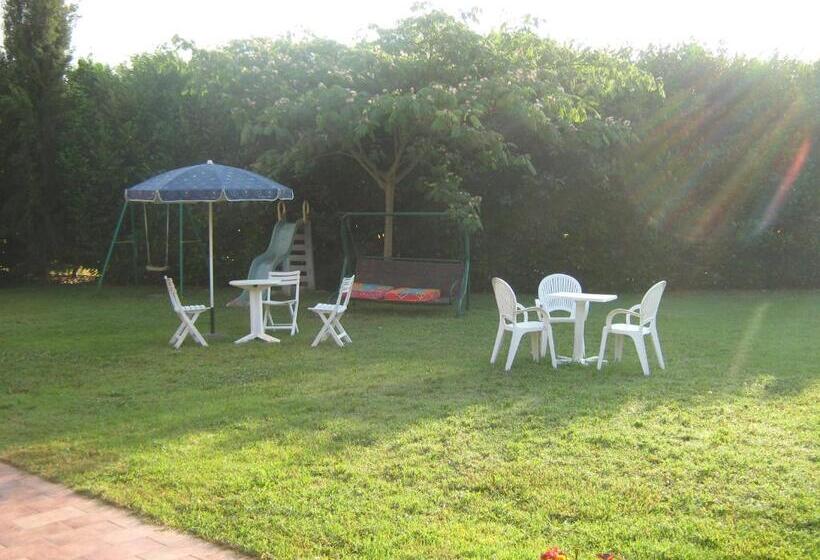 Номер Стандарт, B & B Oasi