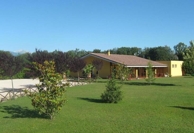 Номер Стандарт, B & B Oasi