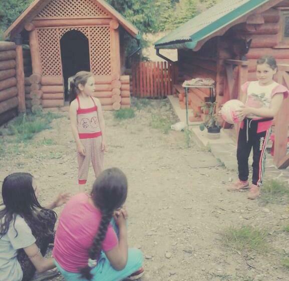 Номер Стандарт, Farmstead Lisova