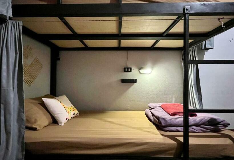 تختخواب در اتاق مشترک, Little Hostel