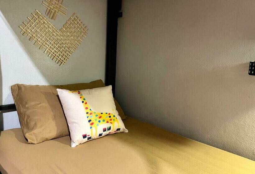 تختخواب در اتاق مشترک, Little Hostel