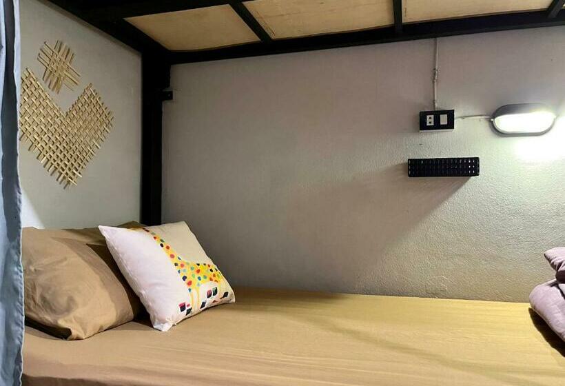 تختخواب در اتاق مشترک, Little Hostel