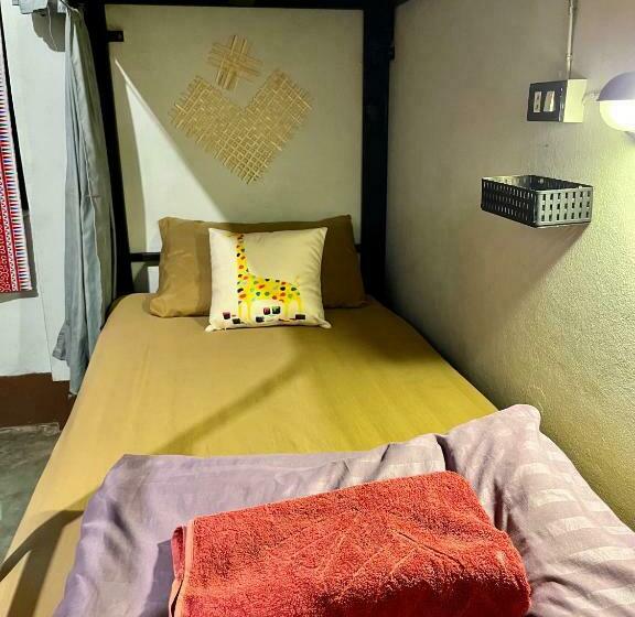 تختخواب در اتاق مشترک, Little Hostel