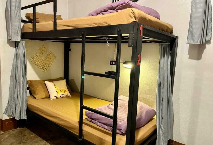 تختخواب در اتاق مشترک, Little Hostel