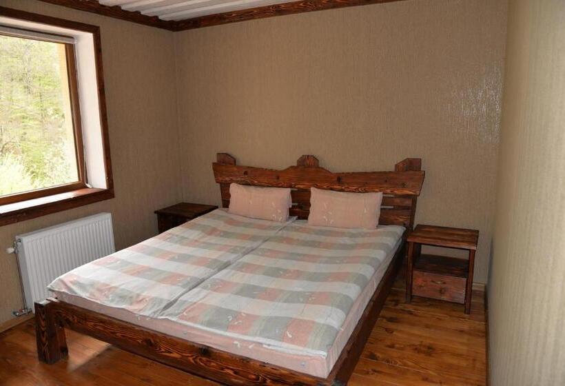 Номер Стандарт, Syni Potoky