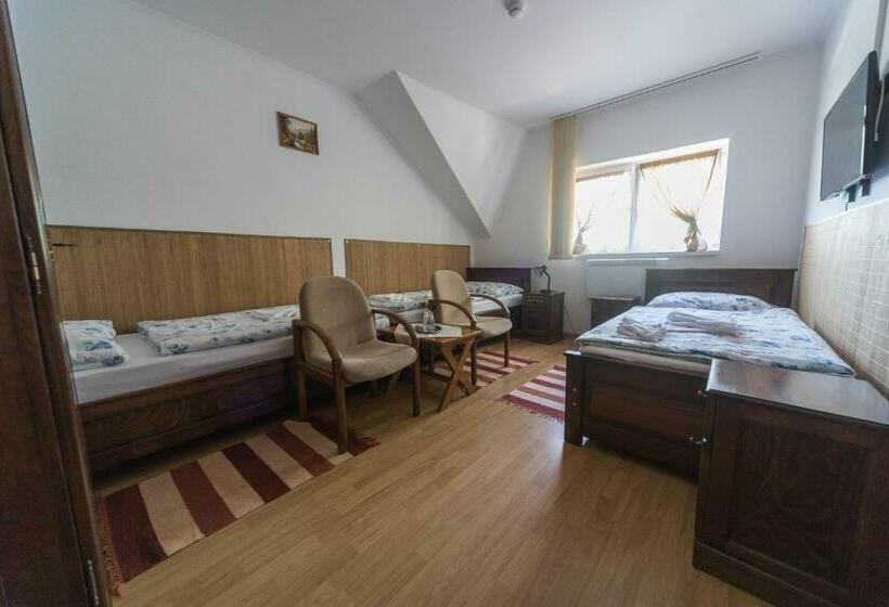 Номер Стандарт Трехместный, Tokaj Zlatá Putňa   Restaurant & Pension