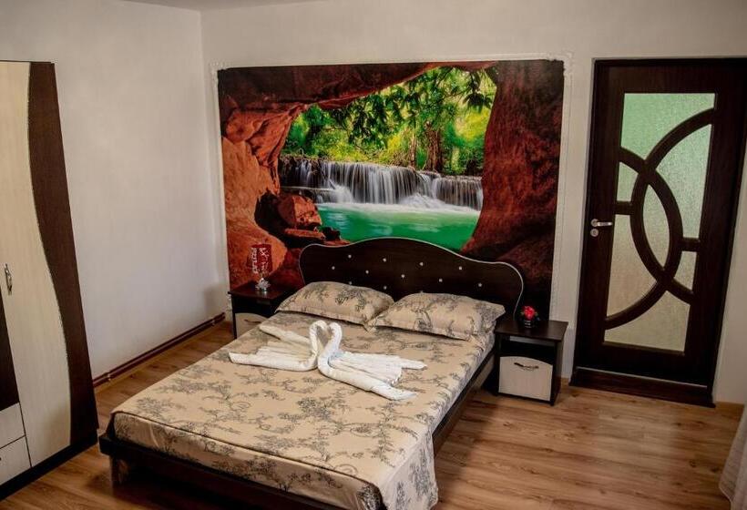 Апартаменты 1 Спальня с Видом, Casa Robi