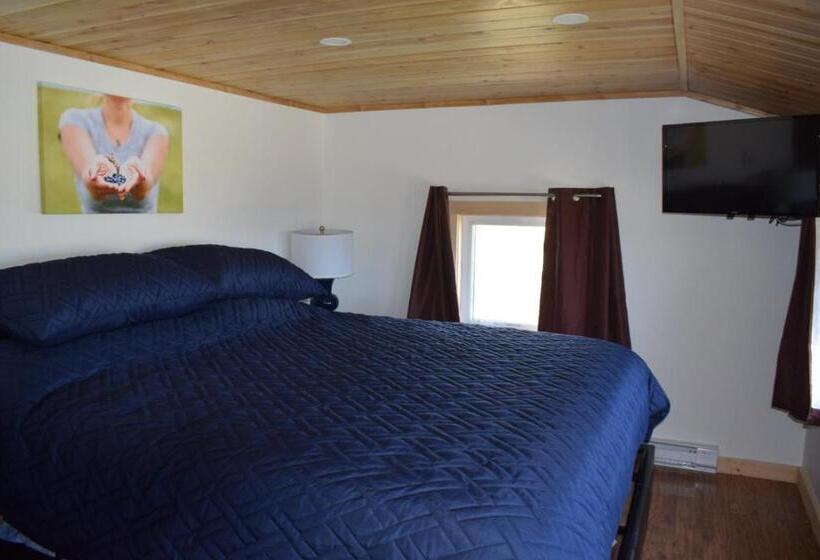 带大床的复式套间, Bird Island B&b Bed And Bubble