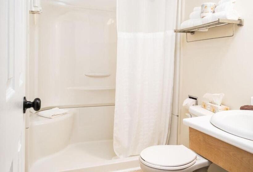 اتاق استاندارد, Hebridean Motel