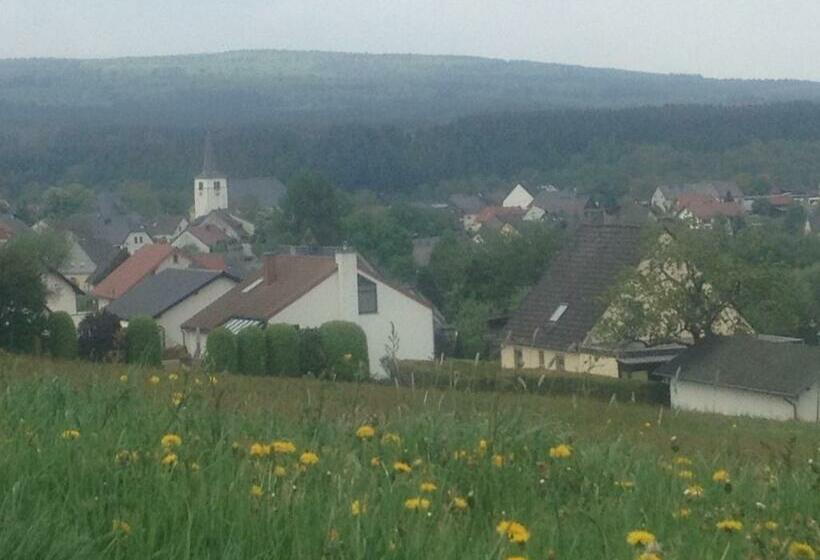 Номер Стандарт Индивидуальный, Gasthaus Metzgerei Pension Maßem