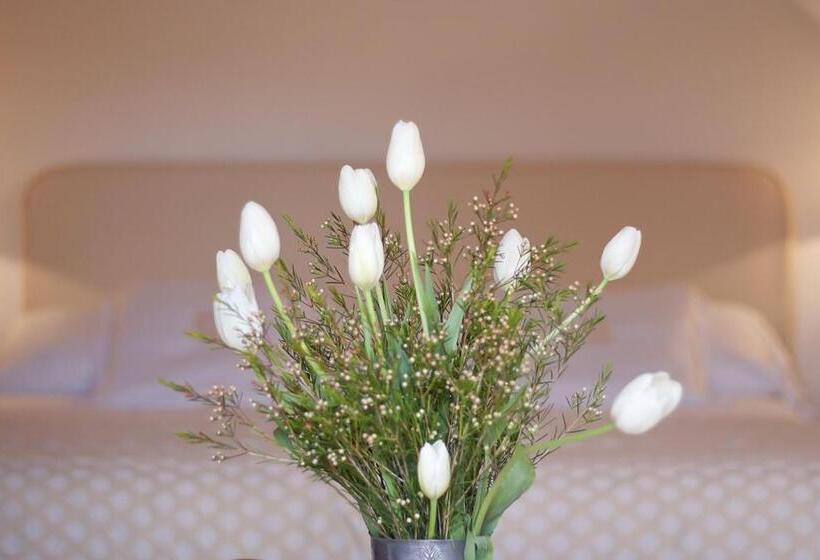 اتاق استاندارد, Finca Hotel Son Palou