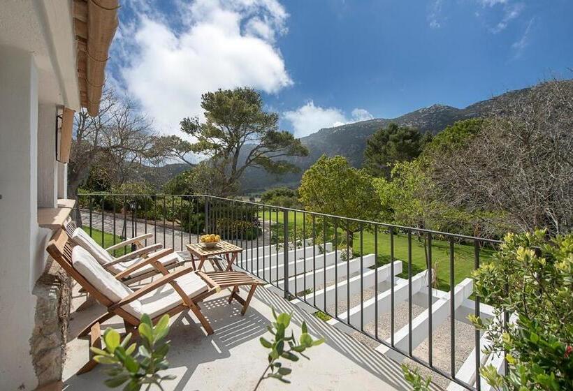 Superior Room with Terrace, Finca Hotel Son Palou