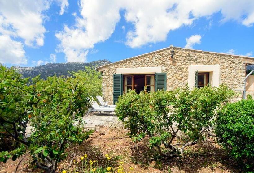 سوئیت جونیور با تراس, Finca Hotel Son Palou