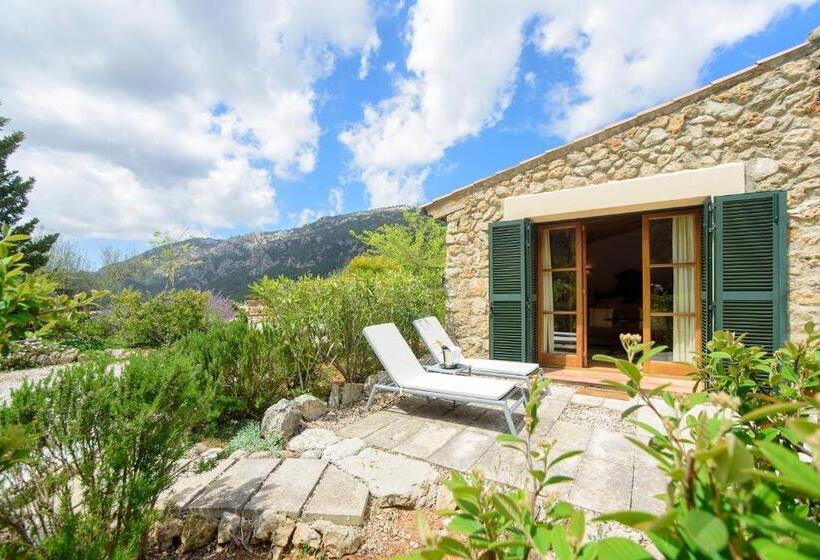 سوئیت جونیور با تراس, Finca Hotel Son Palou