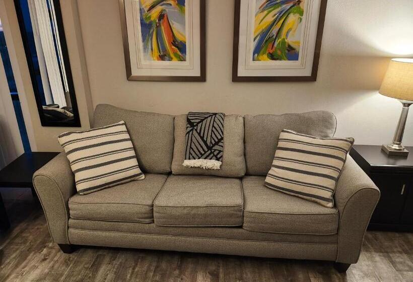 استودیوی استاندارد با چشم‌انداز دریا, Beautiful Daytona Beach Oceanfront Condo