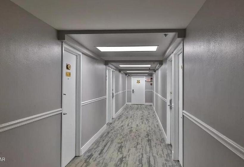 استودیوی استاندارد با چشم‌انداز دریا, Beautiful Daytona Beach Oceanfront Condo