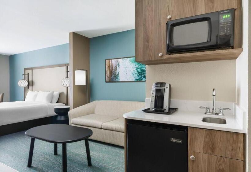 سوئیت با تخت بزرگ, Fairfield By Marriott Inn & Suites Marathon Florida Keys