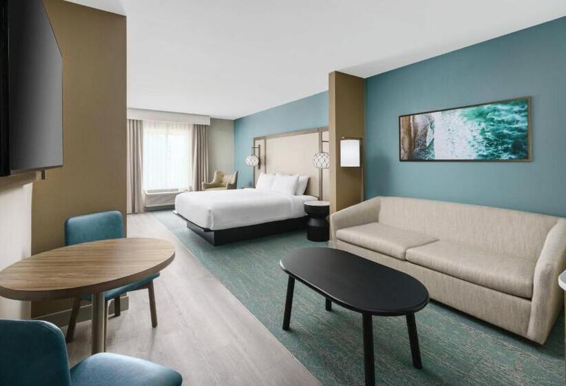 سوئیت با تخت بزرگ, Fairfield By Marriott Inn & Suites Marathon Florida Keys