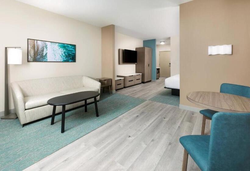 سوئیت با تخت بزرگ, Fairfield By Marriott Inn & Suites Marathon Florida Keys