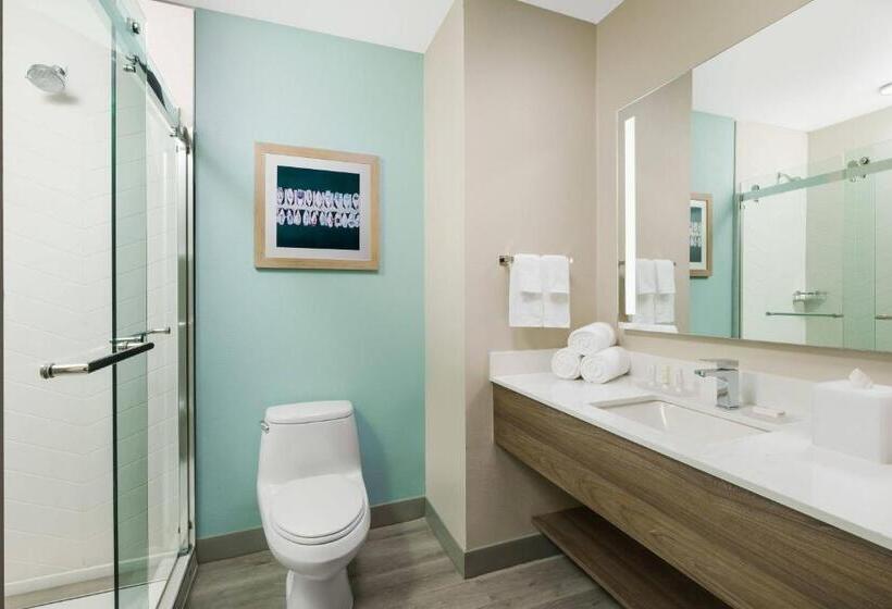 اتاق استاندارد با تخت بزرگ برای معلولان, Fairfield By Marriott Inn & Suites Marathon Florida Keys