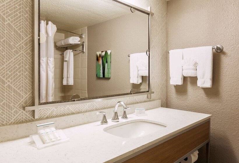 适合残疾人使用的标准间, Hilton Garden Inn Dallas/market Center