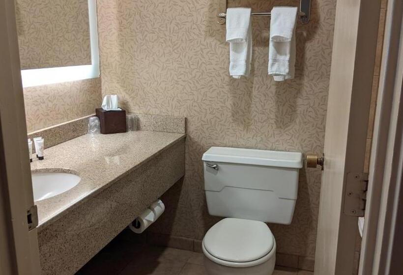 غرفة بريميوم مزودة بشُرفة, Olympia  At Capitol Lake