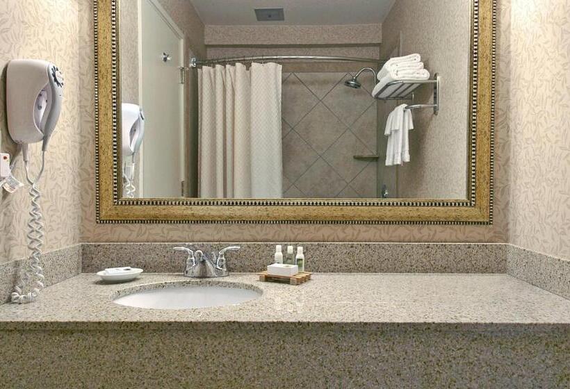 غرفة قياسية لذوى الاحتياجات الخاصة, Olympia  At Capitol Lake