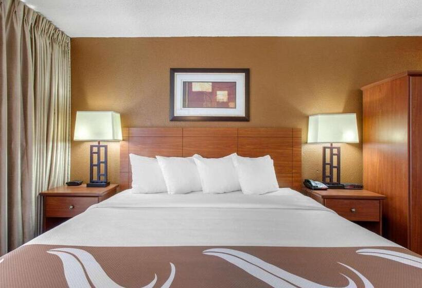 스탠다드 룸 킹사이즈 침대, Quality Inn View Of Lake Powell  Page